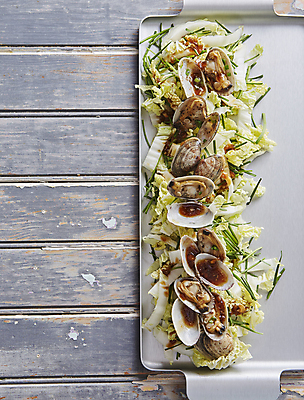 포토 JPG 한식 사람없음 샐러드 소스 배추 부추 바지락 나무배경 알배추 국내포토 음식 백그라운드 채소 조개 양념 파일형식