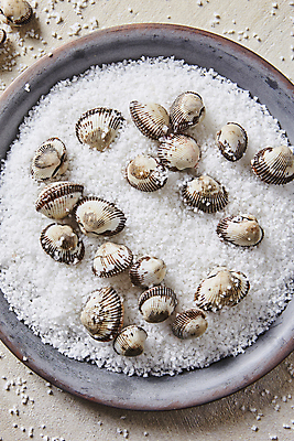 포토 JPG 접시 사람없음 굵은소금 꼬막 국내포토 식기 어패류 소금 파일형식