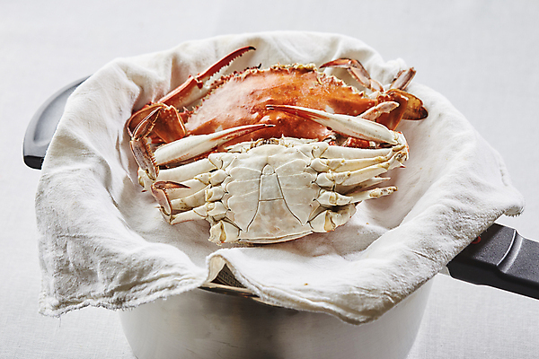 포토 JPG 사람없음 꽃게 천 해산물 흰배경 찜기 꽃게찜 국내포토 백그라운드 주방용품 게 흰색 직물 파일형식