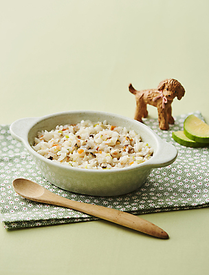 포토 JPG 사람없음 문어 죽 애호박 야채죽 해물죽 초록배경 문어야채죽 국내포토 음식 백그라운드 호박 연체동물 초록색 수중동물 파일형식