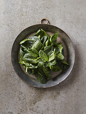 포토 JPG 식재료 회색배경 실내 사람없음 하이앵글 시금치 베이비시금치 국내포토 뷰포인트 백그라운드 채소 내부 회색 파일형식