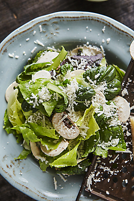 포토 JPG 접시 치즈 실내 사람없음 하이앵글 샐러드 양송이 건강식 버섯샐러드 치즈가루 국내포토 식기 음식 뷰포인트 유제품 내부 버섯 가루 파일형식