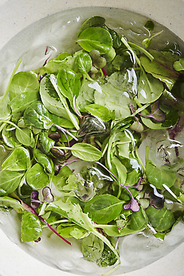 포토 JPG 채소 식재료 실내 사람없음 물 하이앵글 얼음 어린잎 얼음물 국내포토 자연요소 뷰포인트 잎 내부 파일형식