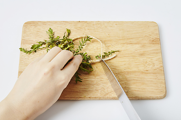 포토 JPG 손 식재료 실내 신체부위 자르기 재료손질 흰배경 식칼 나무도마 냉이 봄나물 국내포토 백그라운드 채소 모션 주방용품 도마 사람 내부 목재 흰색 나물 손질 파일형식
