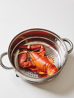 포토 JPG 실내 갑각류 사람없음 냄비 바닷가재 해산물 흰배경 찜기 랍스터찜 국내포토 동물 백그라운드 주방용품 내부 흰색 솥 가재 파일형식