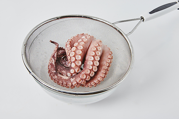 포토 JPG 식재료 실내 사람없음 채망 해산물 흰배경 문어 문어다리 데치기 국내포토 백그라운드 주방용품 연체동물 요리 내부 수중동물 흰색 파일형식