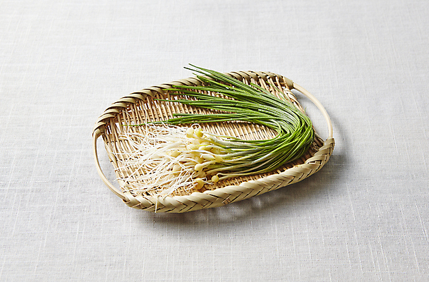 포토 백그라운드 채소 내부 바구니 회색 나물 파일형식 회색배경 소쿠리 달래 봄나물 JPG 식재료 실내 사람없음 국내포토