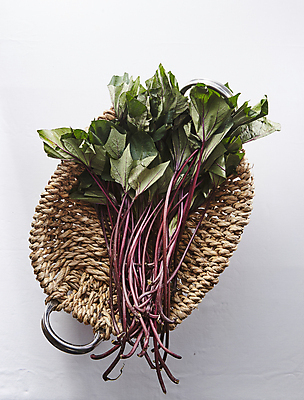 포토 JPG 식재료 실내 사람없음 하이앵글 바구니 흰배경 나물 고구마줄기 국내포토 뷰포인트 줄기 백그라운드 채소 내부 흰색 파일형식