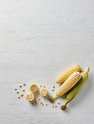 포토 JPG 식재료 실내 옥수수 사람없음 하이앵글 흰배경 옥수수알갱이 초당옥수수 국내포토 뷰포인트 백그라운드 곡류 내부 흰색 파일형식
