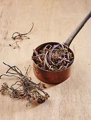 포토 JPG 식재료 실내 사람없음 담기 나물 고사리 나무배경 건나물 건고사리 국내포토 백그라운드 채소 모션 내부 파일형식