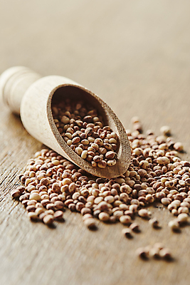 포토 JPG 식재료 곡류 실내 사람없음 아웃포커스 소프트포커스 수수 스쿱 나무배경 국내포토 백그라운드 촬영기법 내부 파일형식