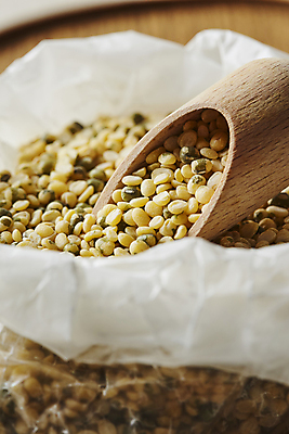 포토 JPG 식재료 곡류 실내 근접촬영 사람없음 아웃포커스 녹두 스쿱 깐녹두 국내포토 뷰포인트 촬영기법 내부 파일형식