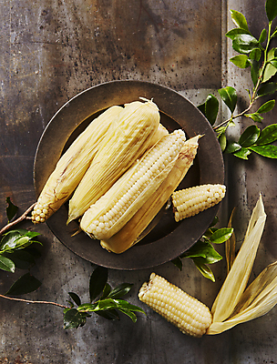 포토 JPG 잎 식재료 실내 옥수수 사람없음 하이앵글 찰옥수수 초당옥수수 나무배경 국내포토 식물 뷰포인트 백그라운드 곡류 내부 파일형식