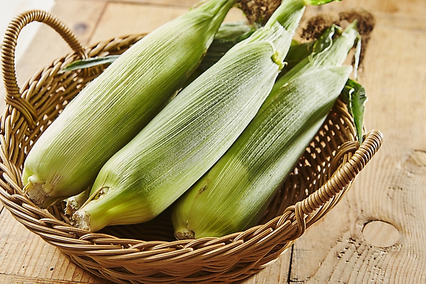 포토 JPG 식재료 실내 옥수수 사람없음 소쿠리 담기 옥수수껍질 나무배경 국내포토 백그라운드 모션 곡류 내부 바구니 껍질 파일형식
