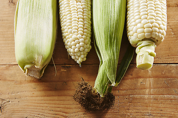 포토 JPG 식재료 실내 옥수수 사람없음 일렬 찰옥수수 초당옥수수 나무배경 국내포토 백그라운드 곡류 내부 파일형식