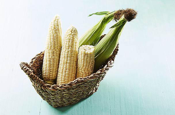 포토 JPG 식재료 실내 옥수수 사람없음 바구니 담기 파란배경 찰옥수수 초당옥수수 국내포토 백그라운드 모션 곡류 내부 파란색 파일형식