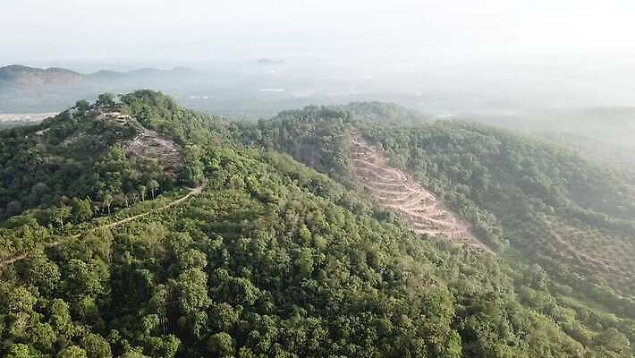 나무 지구 농업 자연 사람없음 목재 초록색 환경 손상 에너지 오염 떨어짐 보호 숲 자르기 상록수 자원 잡동사니 공터 유지 내추럴 벌목 생태학 수목 재앙 탄소 4K MOV 해외동영상 클립영상 식물 교육 산업 컬러 컨셉 재료 모션 생태계 동영상 파일형식
