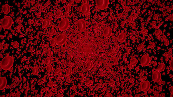 과학 백그라운드 신체 해부 생물 세포 건강 현미경 사람 사람없음 빨간색 약 3D 흐름 혈액 확대 질병 생물학 순환 함선 만들기 미생물 활기 애니메이션 암 테라피 박테리아 동맥 정맥 유전 MOV 해외동영상 클립영상 교육 컬러 컨셉 배_교통 의학 모션 실험기구 뷰티 디지털합성 혈관 동영상 파일형식