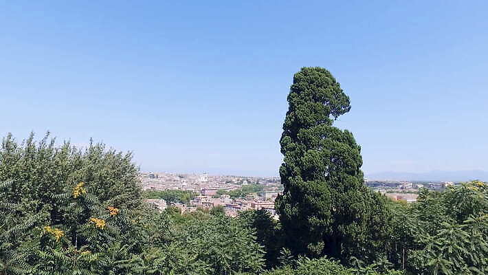 나무 공원 유럽 문화 건축양식 자연 산 파노라마 사람없음 건물 도시풍경 여행객 탑 이탈리아 도시 역사 로마 옥상 언덕 광장 스카이라인 천연기념물 로마인 수도권 옛날 가리발디 포럼 4K MOV 해외동영상 사도궁 클립영상 식물 건축물 공공시설 건축 나라 촬영기법 사람 인종 풍경 궁전 토론 생태계 지역 위인 동영상 바티칸 정치가 파일형식