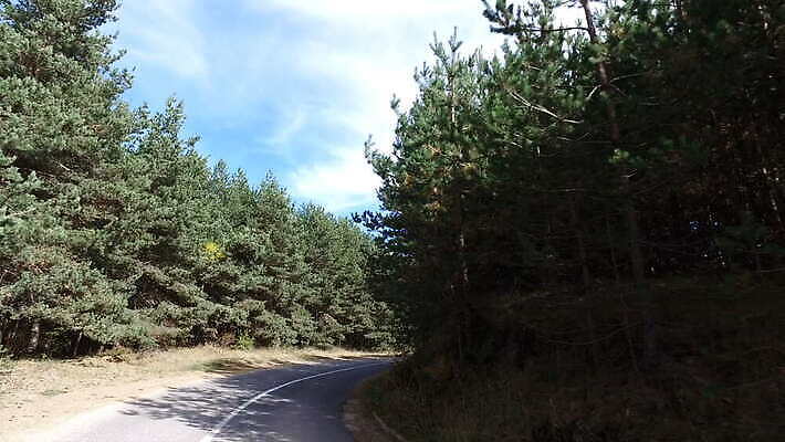 나무 계절 도로 스포츠 컬러 여행 포즈 이동 컨셉 잎 곡선 모션 자동차 자연 추상 사람없음 야외 컬러풀 노란색 운전 가을 시골 소나무 바퀴 승차 소프트포커스 속도 타이어 장면 과속 돌리기 블러 자동 1인칭시점 4K MOV 해외동영상 클립영상 식물 시선 길 선 육상교통 무늬 교통시설 촬영기법 생태계 동영상 파일형식