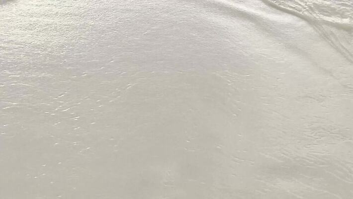 나무 밧줄 모래 바다 조류 낚시 어류 사람 사람없음 야외 물 야자수 항구 껍질 시간 숲 나룻배 라틴아메리카 방파제 느림 열대기후 이국적 터키석 파나마 4K MP4 해외동영상 슬로모션 클립영상 자연요소 식물 동물 공공시설 줄 배_교통 교통시설 레저 촬영기법 아메리카 수중동물 남아메리카 보석 동영상 파일형식