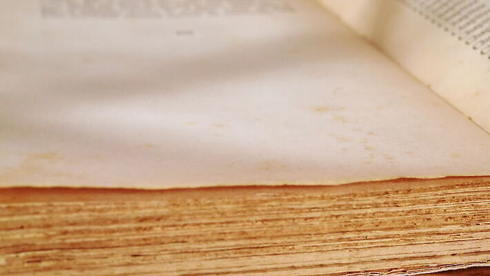 식물 꽃 종이 백그라운드 컨셉 꽃무늬 자연 표면 날씨 휴식 건조 사랑 사람없음 앞모습 장식 책 인테리어 갈색 노란색 낭만 추위 수확 심볼 향수 묘사 질감 복고 페이지 옛날 카피스페이스 MOV 해외동영상 클립영상 디자인 감정 뷰포인트 컬러 무늬 농업 화장품 공백 생태계 동영상 파일형식