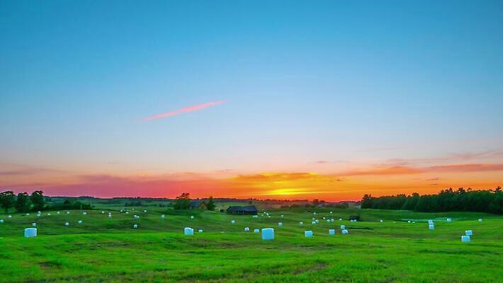 나무 계절 도로 여행 밭 농업 자연 하늘 주택 잔디 사람없음 초록색 햇빛 태양 농장 일출 맑음 일몰 봄 시골 볏짚 땅 언덕 장면 시에나 토스카나 수평선 4K 타임랩스 MP4 해외동영상 클립영상 자연요소 식물 산업 길 컬러 교통시설 날씨 촬영기법 건물 노을 이탈리아 짚 생태계 동영상 파일형식