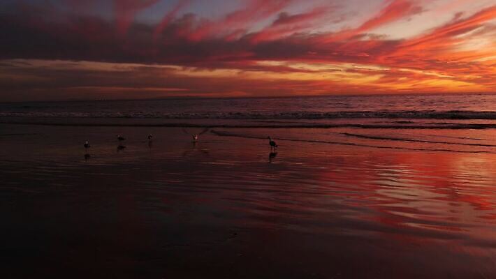 파도 바다 분홍색 오렌지 하늘 경사 사람없음 뷰티 항구 보라색 미국 어둠 고요 황혼 일몰 새벽 꿈 뜨거움 분위기 신비 캘리포니아 베네치아 태평양 천국 로스앤젤레스 아열대 수평선 카피스페이스 비어있는 4K 산타모니카 MP4 해외동영상 클립영상 자연요소 컬러 컨셉 북아메리카 과일 교통시설 노을 이탈리아 공백 동영상 파일형식