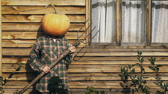여자 얼굴 백그라운드 컨셉 채소 오렌지 자연 호박 휴가 생물 주택 관리 가면 한명 서기 사람 야외 머리 정원 할로윈 공구 시골 등불 잡기 무서움 두통 쇠스랑 크리스마스이브 호러 4K MOV 해외동영상 클립영상 1 감정 크리스마스 과일 모션 조명 건물 신체부위 도구 질병 생태계 공포 동영상 파일형식