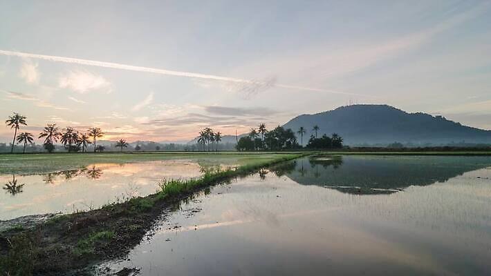 나무 구름 실루엣 아시아 컬러 여행 백그라운드 자연 하늘 아침 전등 산 풍경 사람없음 야외 초록색 물 파란색 컬러풀 반사 일출 환경 황혼 새벽 언덕 코코넛 말레이시아 연소 논밭 4K 타임랩스 페낭 MP4 해외동영상 클립영상 주간 자연요소 식물 나라 밭 과일 조명 논 촬영기법 노을 일몰 생태계 동영상 파일형식
