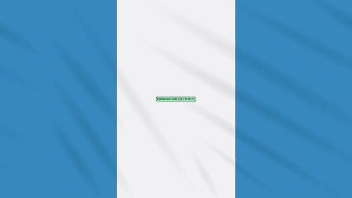 과학 백그라운드 건강 사람없음 치료 초록색 약 자유 깃발 고리 바이러스 질병 디지털합성 예방 생물학 감염 미생물 애니메이션 우표 박테리아 과테말라 그런지 돌리기 백신 부정적 전염병 증상 치유 항생제 사스 코로나바이러스 4K MOV 해외동영상 클립영상 교육 감정 컬러 컨셉 의학 모션 생물 중앙아메리카 동영상 파일형식