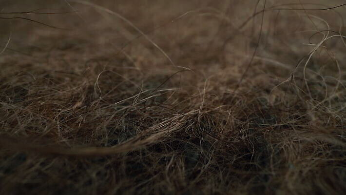 디자인 백그라운드 겨울 벽지 표면 프레임 따뜻함 사람없음 장식 유행 회색 덮개 직물 면 거친 담요 천 삼베 묘사 유기농 질감 복고 캔버스 부드러움 섬유 짜임 내추럴 양모 그런지 뗏목 안락 4K MOV 해외동영상 클립영상 웰빙 계절 교통수단 컬러 컨셉 배_교통 뚜껑 감각 동영상 파일형식 천_직물