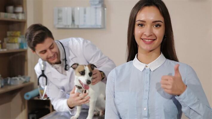 동물 백인 직업 남자 행복 백그라운드 관계 청진기 병원 종류 미소 두명 치료 약 침묵 엄지손가락 코트 흰색 개 맥박 쥐 고객 쇼 부드러움 잭 주인 잡종 수의사 송곳니 기르기 돌봄 복종 섞기 승인 MP4 해외동영상 클립영상 서양인 감정 컬러 포유류 손가락 의학 의료기기 모션 표정 사람 소리 외투 의사 감각 치아 설치류 동영상 파일형식