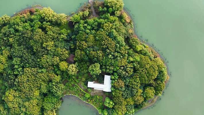 나무 식물 응시 공원 호수 바다 섬 여행 백그라운드 자연 휴가 휴식 안테나 동양인 사람없음 야외 목재 초록색 물 파란색 여행객 꿈 성장 숲 싱글 청록색 내추럴 정교 4K MP4 해외동영상 클립영상 자연요소 시선 공공시설 컬러 컨셉 재료 통신 사람 인종 생태계 동영상 파일형식