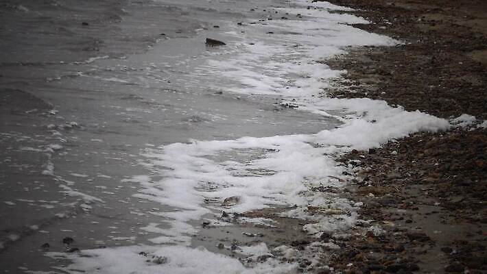 산업 호수 백그라운드 자연 사람없음 야외 물 강 환경 액체 개울 오염 지저분함 쓰레기 폐기물 파편 위험 플라스틱 버리기 부식 생태계 질감 파이프 낭비 생태학 소금물 취급주의 폐수 4K MP4 해외동영상 클립영상 자연요소 교육 컨셉 모션 재질 경고 감각 환경오염 동영상 파일형식