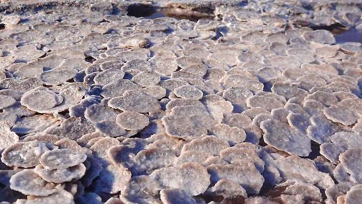 호수 바다 백그라운드 자연 풍경 사람없음 야외 물 바위 흰색 약초 크리스탈 휴양지 진흙 결정체 지구온난화 내추럴 우크라이나 짠맛 오데사 4K MP4 해외동영상 클립영상 자연요소 유럽 컬러 장소 돌_바위 풀_식물 맛 광석 생태계 동영상 기후변화 파일형식