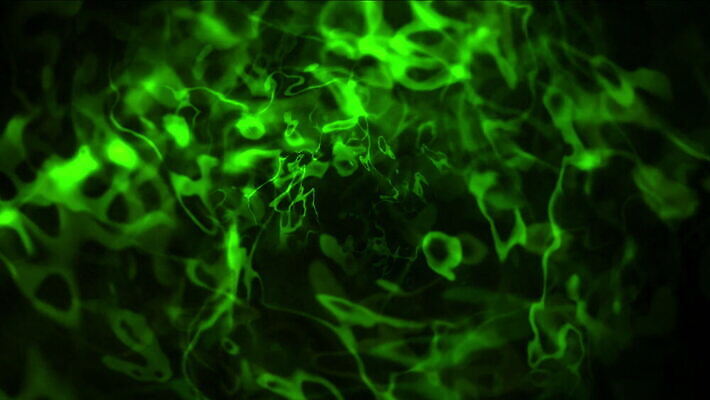 모양 디자인 파도 컬러 백그라운드 컨셉 패턴 곡선 모션 벽지 추상 미래 잉크 미술 사람없음 그래픽 파란색 빛 컬러풀 우주 어둠 활발 흰색 축하 액체 매끈함 번개 묘사 질감 역동적 발생 효과 4K MOV 해외동영상 클립영상 선 바다 무늬 날씨 문화예술 감각 동영상 파일형식