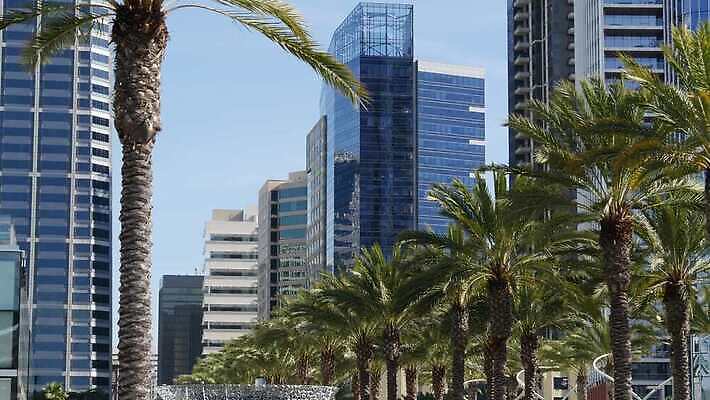 식물 단풍 회사 건축양식 부동산 미래 거리 건설업 사람없음 건물 파란색 도시풍경 야자수 사무실 햇빛 탑 맑음 고층빌딩 미국 도시 투명 재산 고급 도심 큼 크리스탈 캘리포니아 타운 진행 로스앤젤레스 혁명 구역 산티아고 많음 4K MP4 해외동영상 클립영상 나무 건축물 건축 산업 컬러 컨셉 잎 북아메리카 비즈니스 날씨 풍경 빌딩 금융 태양 크기 광석 동영상 파일형식