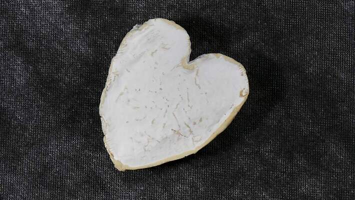 모양 음식 치즈 건강 사람없음 우유 프랑스 흰색 하트 신선 상품 먹기 크림 유기농 프랑스어 노르망디 단백질 맛있는 4K MP4 해외동영상 클립영상 문자 웰빙 유럽 컬러 모션 유제품 동영상 영양소 파일형식