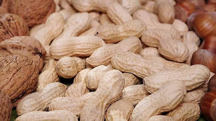 음식 백그라운드 다이어트 재료 건조 건강 씨앗 사람없음 목재 갈색 쌓기 견과류 껍질 신선 소나무 사발 혼합 시리얼 먹기 묘사 유기농 알맹이 날것 땅콩 호두 아몬드 흙더미 내추럴 개암나무 삼나무 섞기 채식주의자 캐슈넛 피칸 개암 비건 4K MOV 해외동영상 클립영상 나무 식물 웰빙 열매 컬러 모션 흙 사기그릇 채식 동영상 파일형식 더미