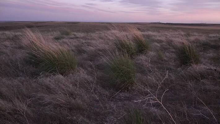 식물 구름 꽃 백그라운드 밭 자연 하늘 풍경 초원 사람없음 야외 초록색 여름 파란색 노란색 흰색 시골 땅 지역 내추럴 4K MP4 해외동영상 클립영상 자연요소 계절 컬러 농업 생태계 동영상 파일형식