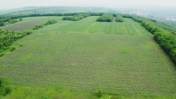 나무 식물 도로 여행 백그라운드 잎 자연 안테나 풍경 사람없음 야외 목재 초록색 여름 환경 시골 황무지 보호 정상 숲 땅 질감 내추럴 항공촬영 드론 삼림지대 4K MOV 해외동영상 클립영상 계절 길 뷰포인트 컬러 컨셉 재료 통신 교통시설 생태계 동영상 파일형식