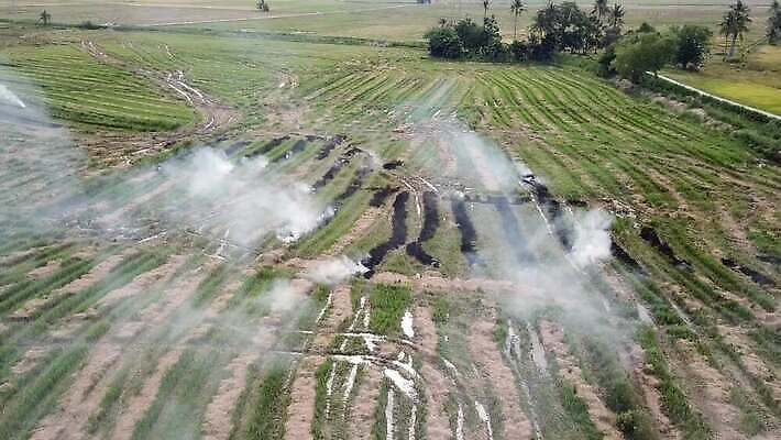 식물 계절 아시아 자연 불 불꽃 건조 사람 동양인 사람없음 야외 농작물 농장 농경지 노란색 환경 흙 수확 가을 시골 작업 뜨거움 오염 연기 농부 위험 땅 자르기 준비 밀짚 내추럴 논밭 밭일 재앙 4K MOV 해외동영상 클립영상 자연요소 직업 나라 컬러 컨셉 밭 농업 모션 논 인종 짚 생태계 동영상 파일형식