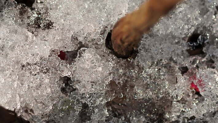 식물 계절 백그라운드 겨울 밭 자연 날씨 따뜻함 초원 사람없음 야외 초록색 물 빛 태양 새싹 냉동 얼음 봄 흰색 녹음 닫기 시원함 땅 유기농 서리 내추럴 작약 4K MOV 해외동영상 클립영상 자연요소 웰빙 꽃 컬러 농업 모션 기록 생태계 동영상 파일형식