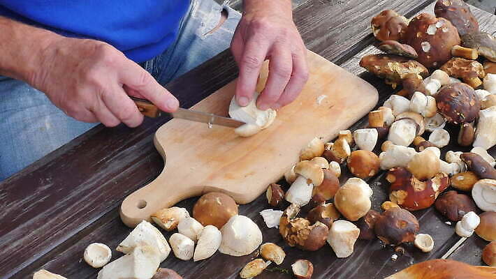 라이프스타일 식기 계절 음식 조각 백그라운드 채소 재료 부분 손가락 탁자 건강 요리 사람 성인 갈색 주방 요리사 식사 저녁식사 버섯 흰색 신선 칼 맛 자르기 준비 날것 나누기 곰팡이 그물버섯 식용 4K MOV 해외동영상 클립영상 직업 손 컬러 가구 컨셉 모션 생활 동영상 파일형식