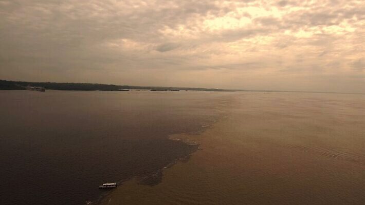 나무 식물 공원 호수 여행 백그라운드 자연 하늘 휴가 안테나 사람없음 야외 물 파란색 강 맑음 미국 젖음 탐험 습지 열대우림 홍수 브라질 석호 생태학 아마존 브라질사람 4K MOV 해외동영상 클립영상 자연요소 공공시설 교육 컬러 북아메리카 통신 날씨 남아메리카 숲 자연재해 생태계 동영상 파일형식