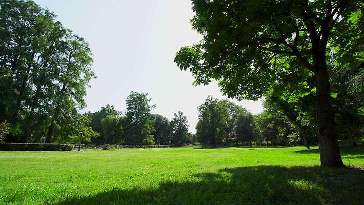 나무 공원 유럽 여행 밭 자연 하늘 휴식 사람없음 야외 침묵 봄 큼 땅 엽서 일반 다뉴브강 세르비아 웅장함 전국 4K MOV 해외동영상 클립영상 식물 계절 공공시설 나라 컨셉 농업 소리 크기 편지 생태계 동영상 파일형식
