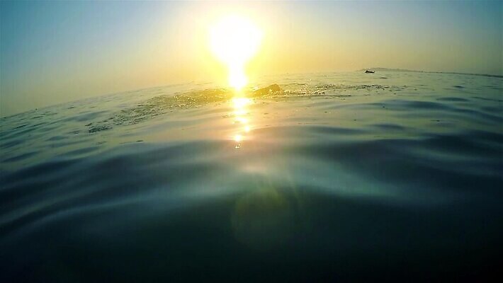 백인 직업 라이프스타일 남자 수영복 호수 스포츠 바다 포즈 모션 고글 건강 사람 성인 물 파란색 운동 일출 수영 일몰 경쟁 속도 수영선수 마라톤 기어가기 운동가 타격 프리스타일 HD MP4 해외동영상 클립영상 자연요소 서양인 옷 컬러 컨셉 운동선수 경기 생활 노을 수상스포츠 육상스포츠 동영상 파일형식