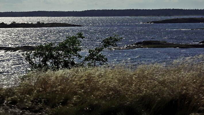나무 구름 파도 바다 섬 모션 자연 하늘 바람 흑백 갈대 풍경 사람없음 야외 물 여름 햇빛 태양 반사 평화 환경 맑음 어둠 침묵 일몰 낭만 바위 시골 저녁 흔들림 질감 천국 다도해 웅장함 화강암 수평선 MOV 해외동영상 클립영상 자연요소 식물 계절 컨셉 날씨 촬영기법 노을 소리 암석 돌_바위 야간 생태계 동영상 파일형식