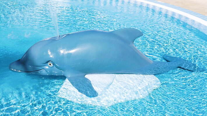 전신 수영장 사람없음 옆모습 물 하이앵글 햇빛 맑음 발사 고래 오브젝트 분수 튜브 거짓 돌고래인형 4K MOV 해외동영상 클립영상 자연요소 인형 뷰포인트 포유류 날씨 태양 수중동물 동영상 파일형식